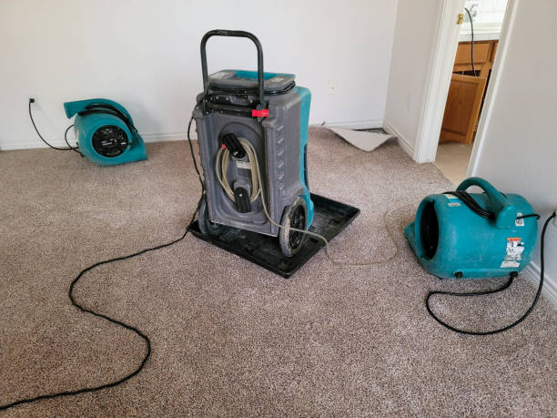 Best Local water damage restoration  in Poipu, HI