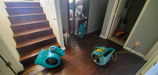 Best Water damage contractors near me  in Poipu, HI