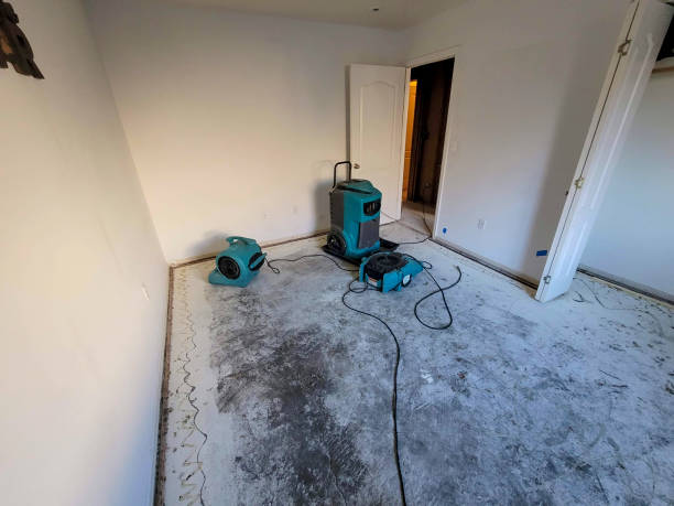Best Commercial water damage restoration  in Poipu, HI