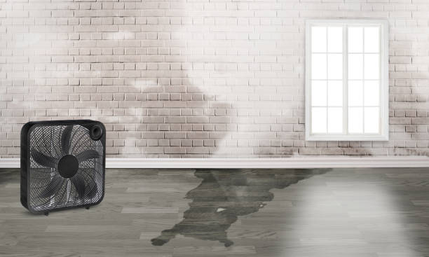Best Emergency water damage restoration  in Poipu, HI