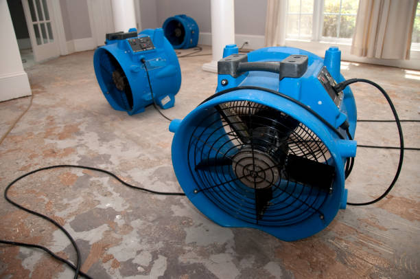 Best Fire Damage Restoration  in Poipu, HI