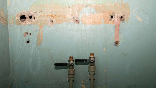 Local water damage restoration in Poipu, HI