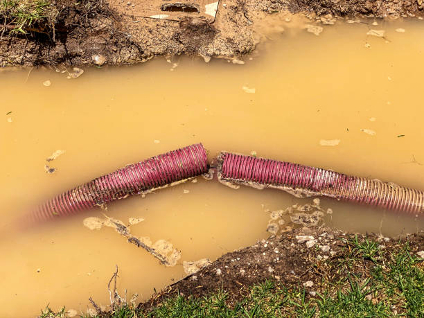 Best Water damage mitigation services  in Poipu, HI