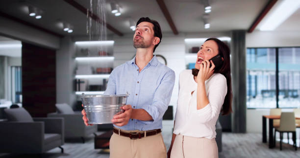Best Residential water damage restoration  in Poipu, HI
